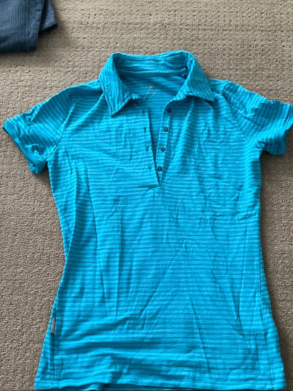 Women’s Icebreaker Striped Teal Button-Front Polo Shirt